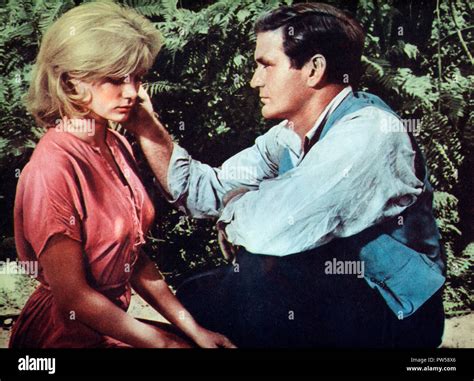 phil taylor young|yvette mimieux photos.